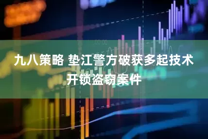 九八策略 垫江警方破获多起技术开锁盗窃案件