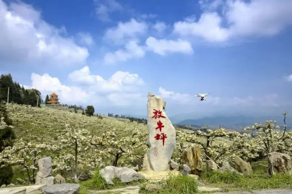 天宇优配 春暖花开，踏青赏花正当时，春季出行提示请查收！