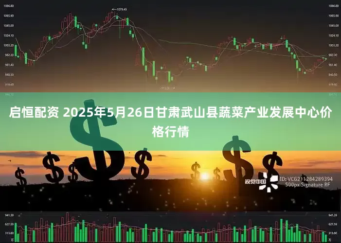 启恒配资 2025年5月26日甘肃武山县蔬菜产业发展中心价格行情