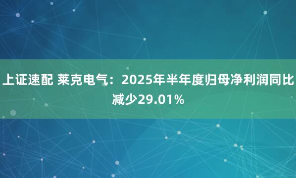 上证速配 莱克电气：2025年半年度归母净利润同比减少29.01%
